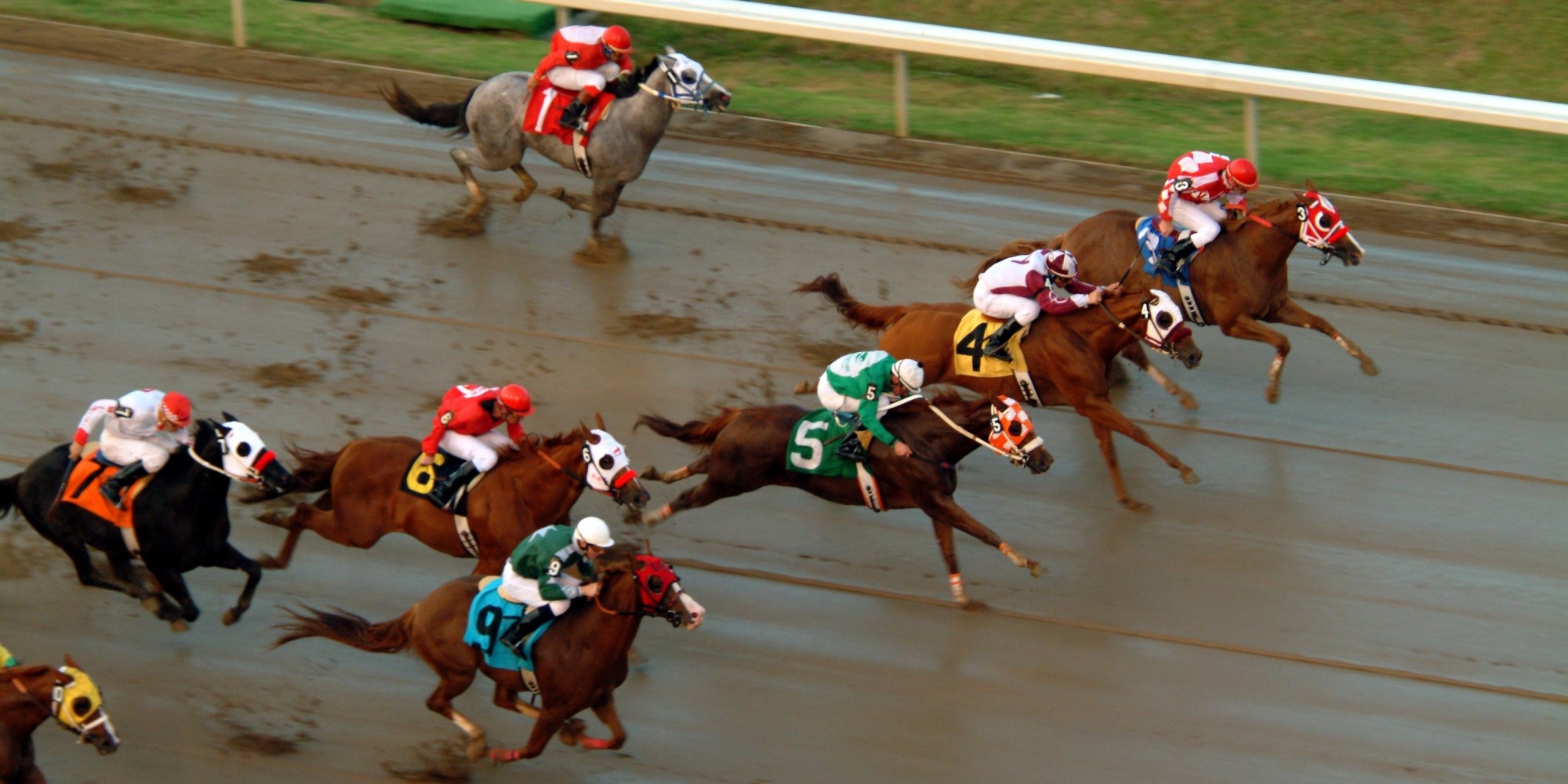 sportwetten markt sportwetten markt