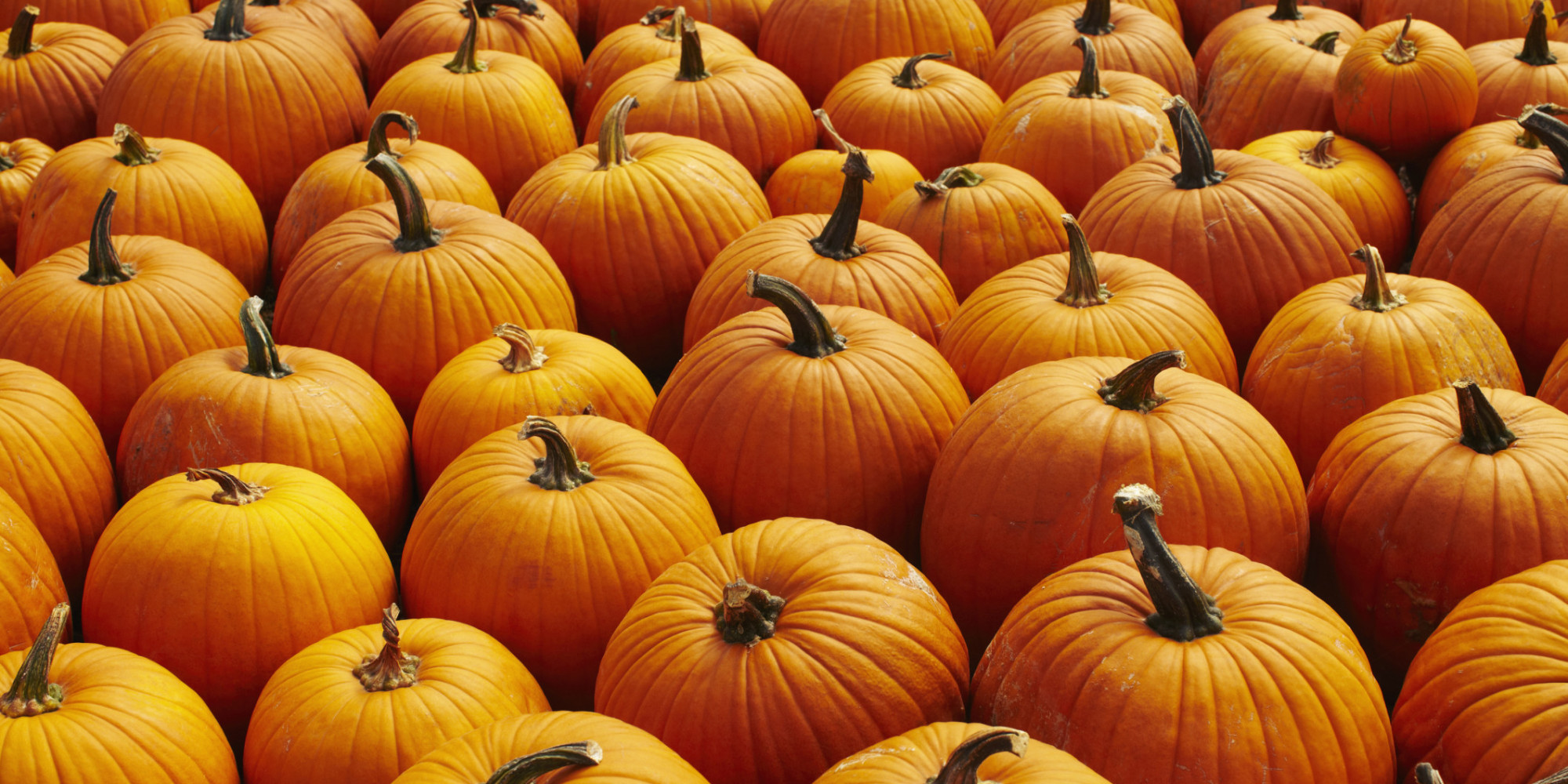 5 Perfect Pumpkin Recipes Just in Time For the Holidays | HuffPost