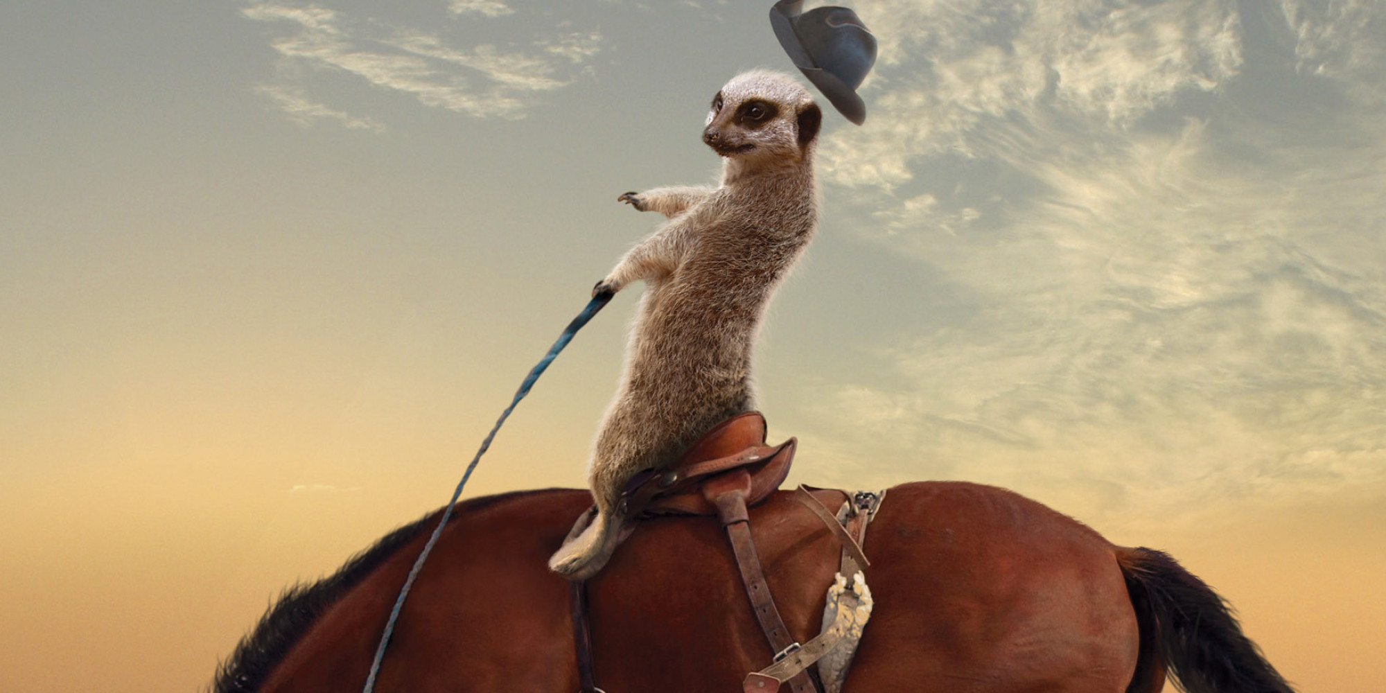 Maverick Meerkats Are The Cowboys Your Granddaddy Was Talking About Photos Huffpost 6532