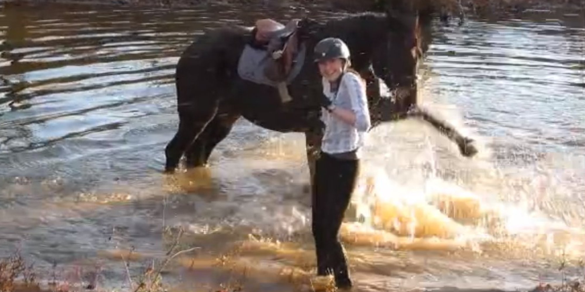 Splish Splash, This Is Just A Horse That Can't Stop Playing In The Bath HuffPost