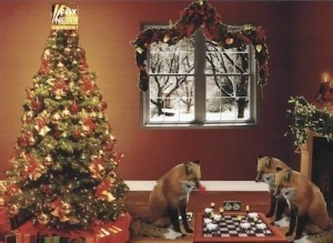 Foxnewschristmascard