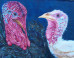 Art Project Honors The 46 Million Turkeys That Will Be Eaten On Thanksgiving