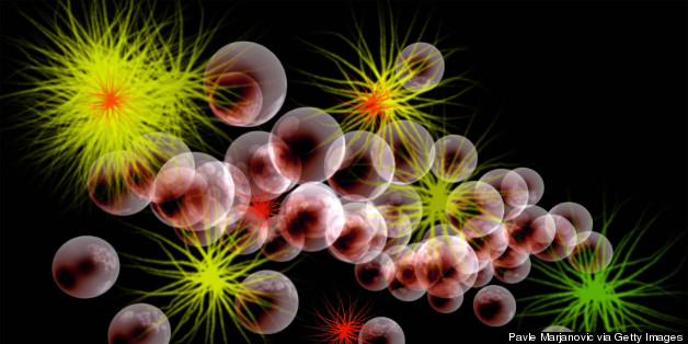 CERN Announces Major Discovery