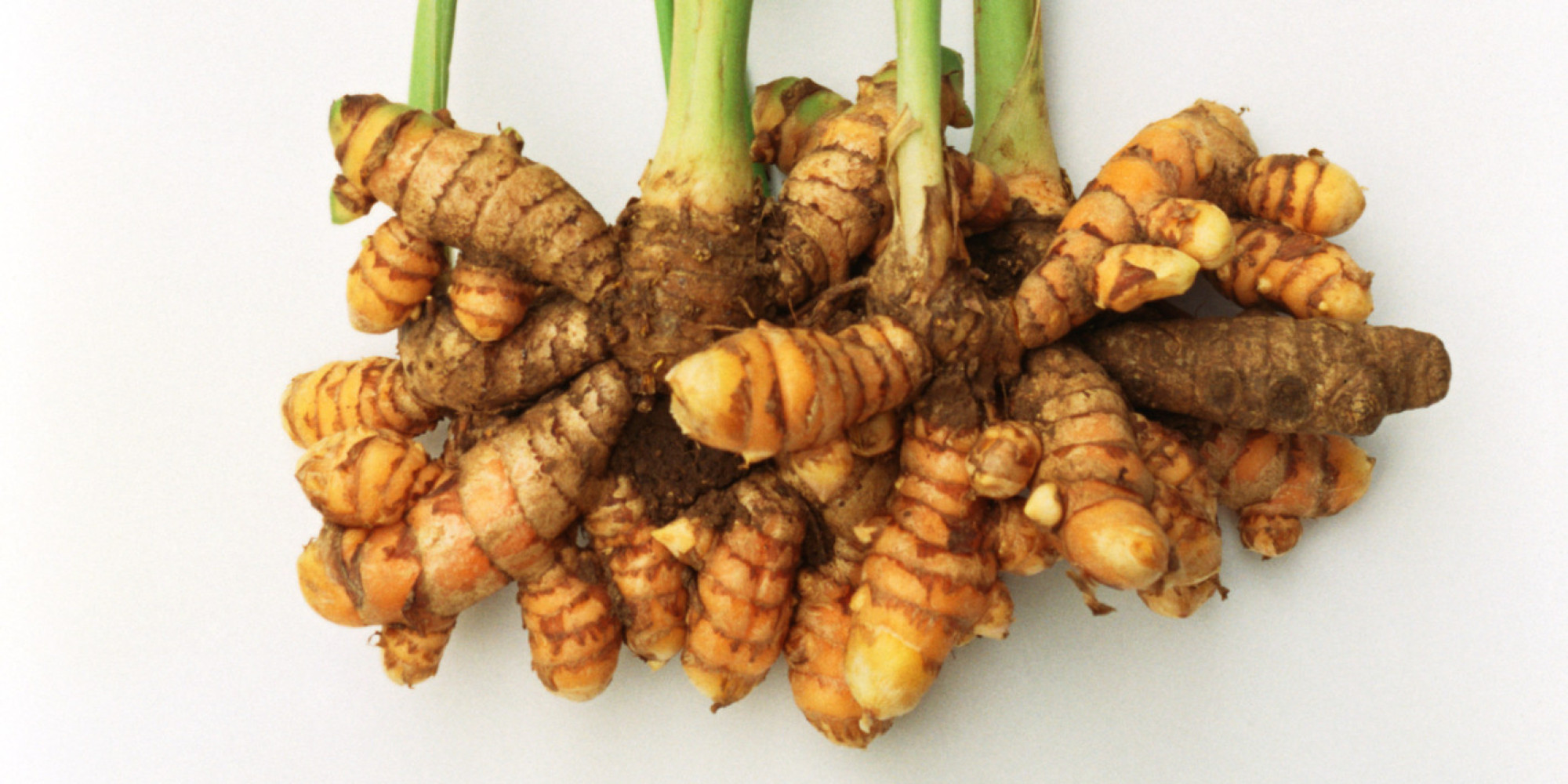 Turmeric Tubers For Sale Where To Buy Farm Raised Near Me- Buy Best Buy Now