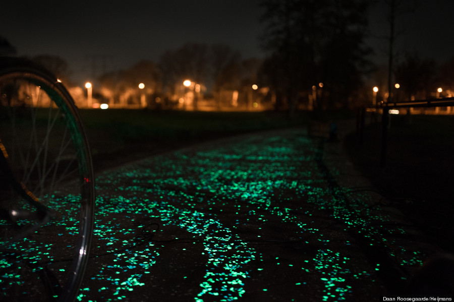 van gogh bicycle path