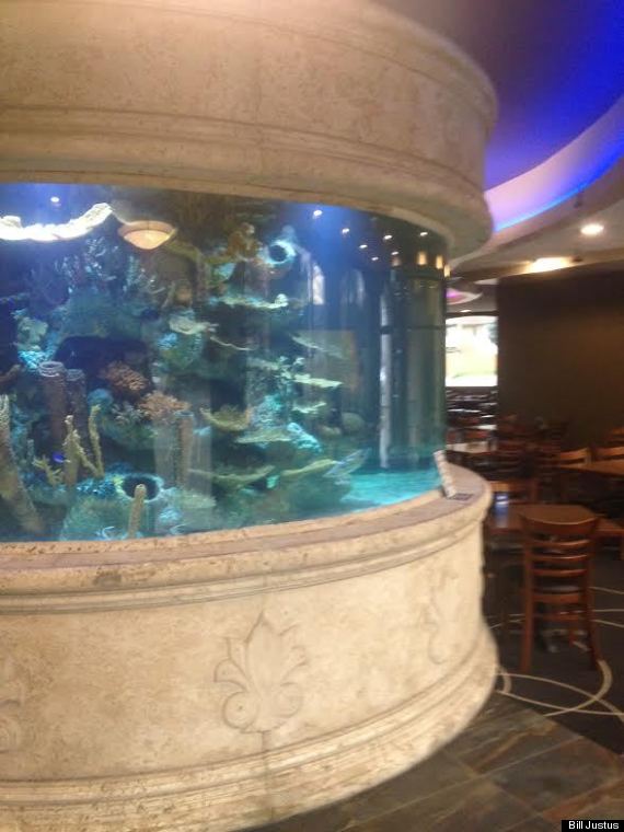 kelowna restuarant aquarium