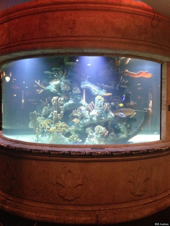 kelowna restaurant aquarium