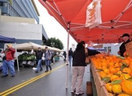 Film School Fights Hollywood Farmers Market
