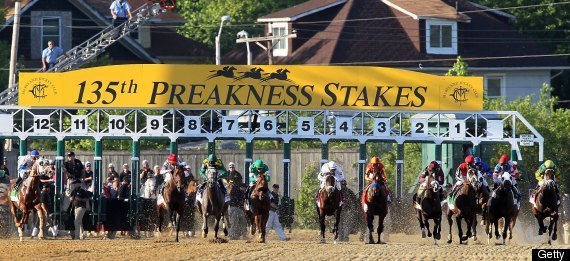 Preakness Pimlico Jeopardy