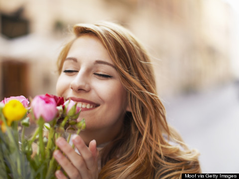 This Is Your Brain On Spring