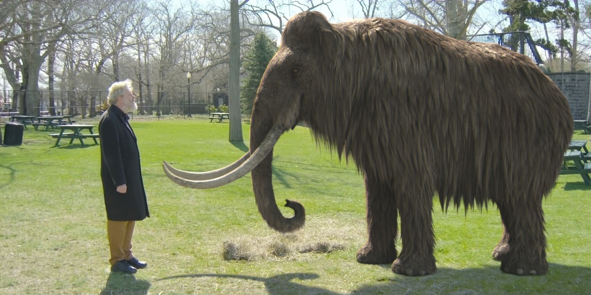 Effort To Clone Woolly Mammoth Takes Big Step Forward