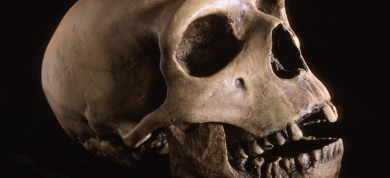 Neanderthals