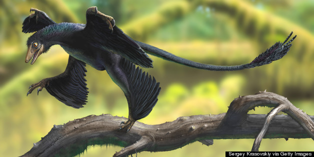 Tiny Dinosaur Discovered In Asia