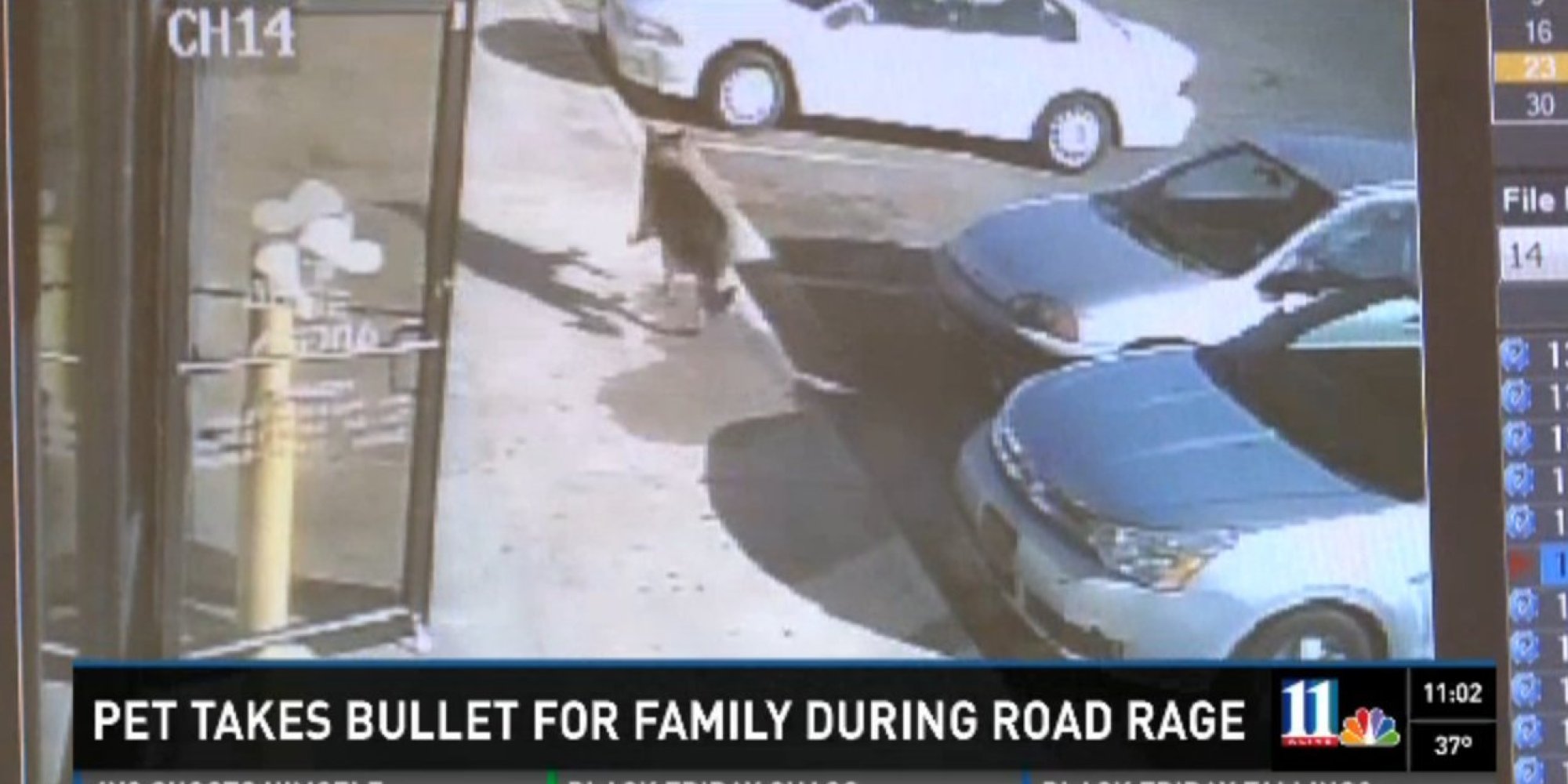 Dog 'Saves Children's Lives' During Road Rage Shooting In America