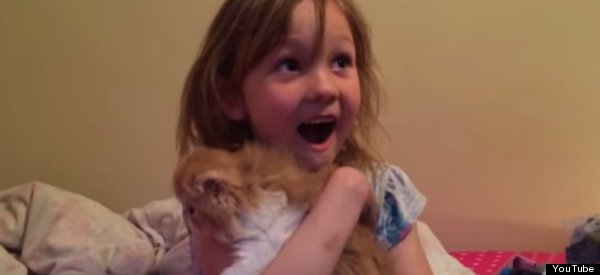 girl gets kitten