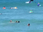 Shark 'Photobombs' Australian Surfing Competition