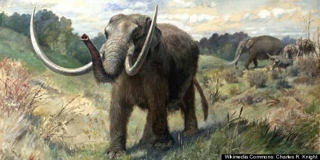 Maybe We Were Wrong About The Mastodons