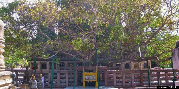 Bodhi Day 2014: Commemorating The Enlightenment Of The Buddha