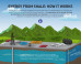 This Is How Fracking Works