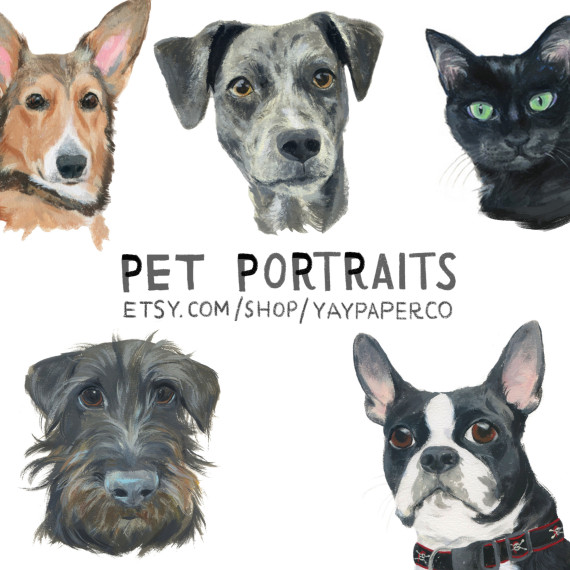 pet portraits