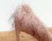 Fleshy Stilettos Made With Human Hair Question The 'Sexiness' Of High Heels