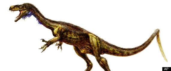 Eodromaeus Dinosaur