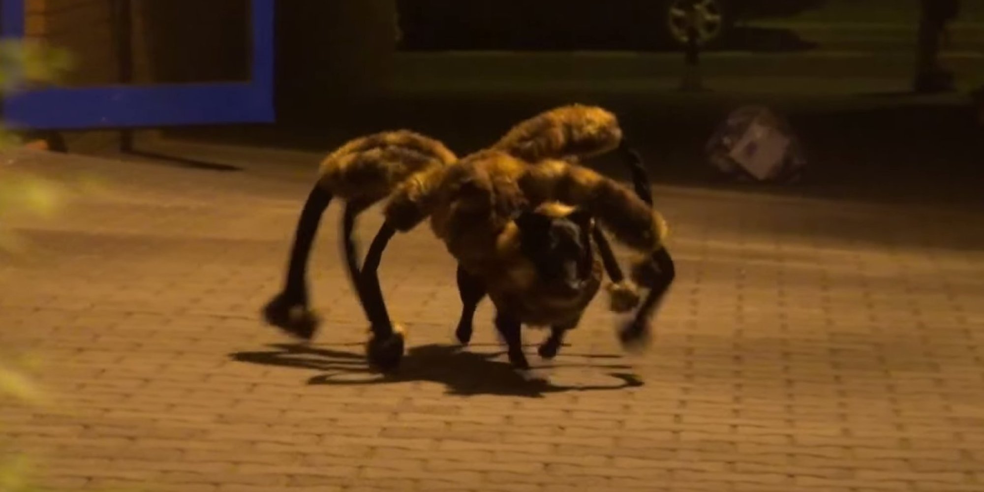 Mutant Giant Spider Dog Tops YouTube's Most Popular List HuffPost UK