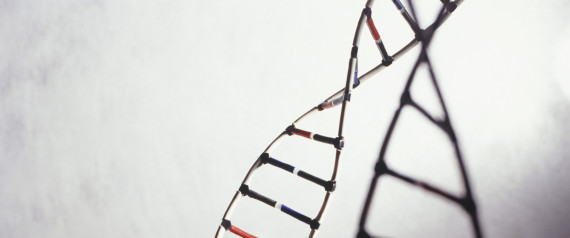 Genetics