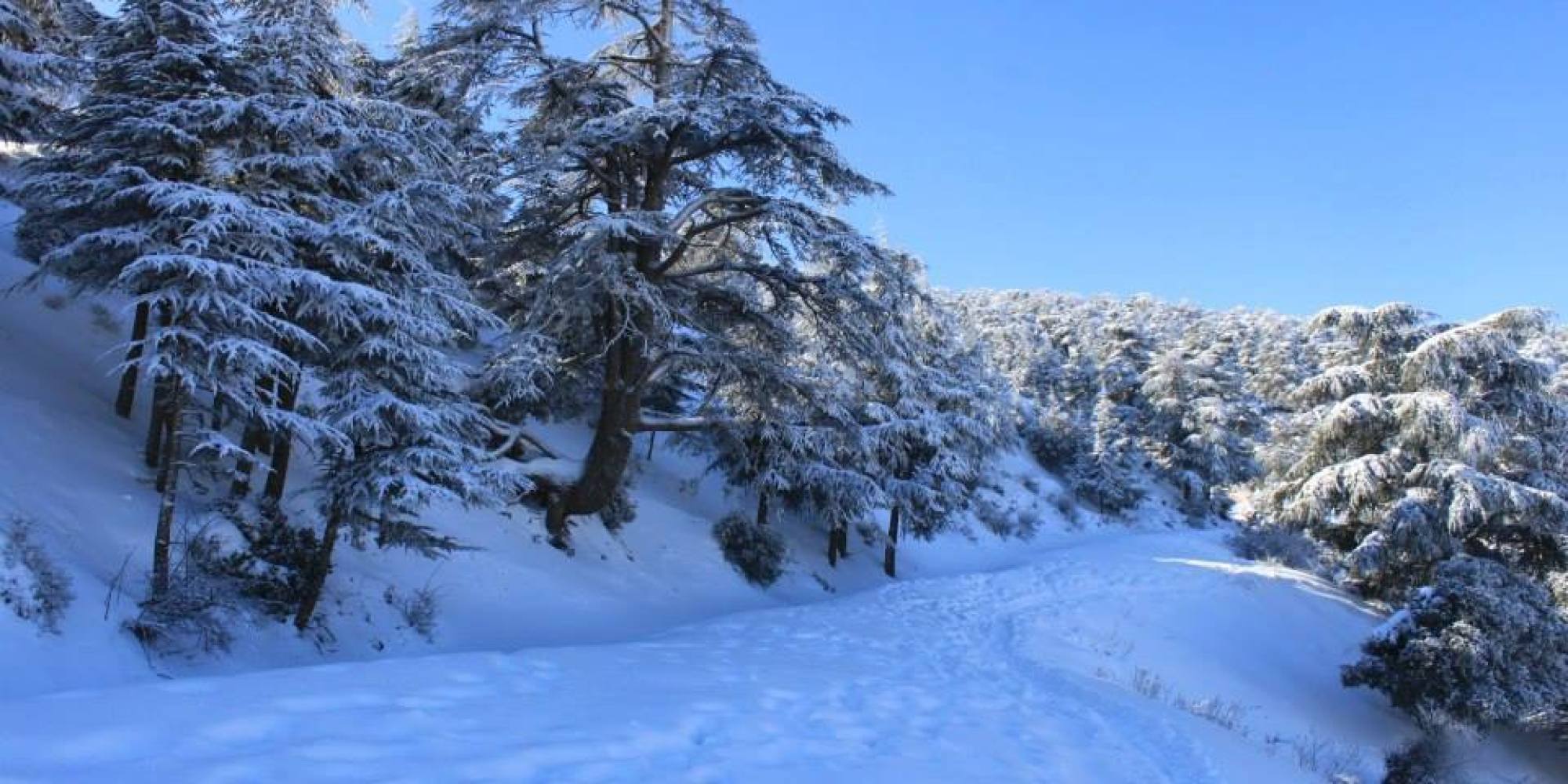 neige meteorologie algerie n