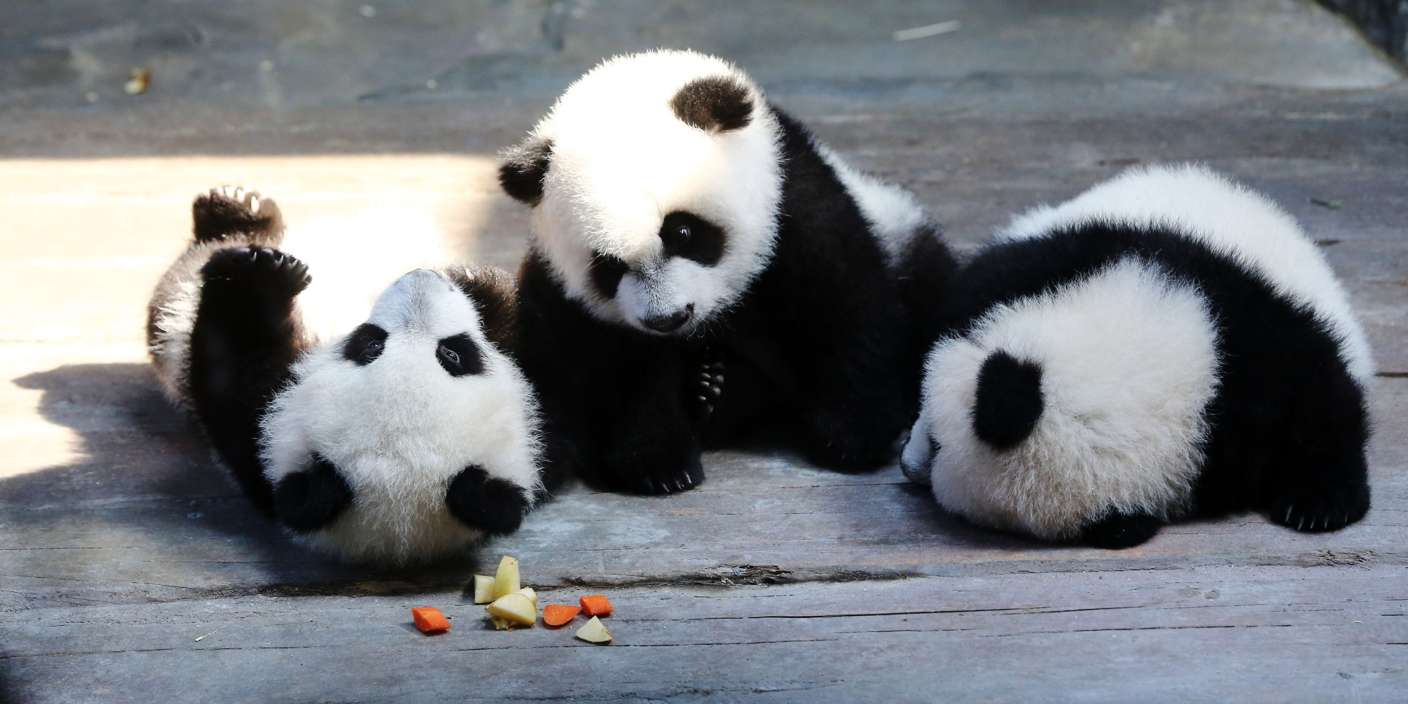 China Panda Triplets Names