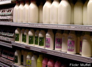 Organic Milk Healthier Study
