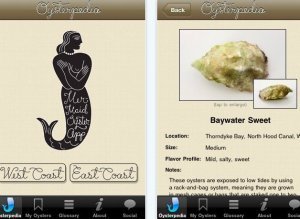 Oysterpedia Iphone App