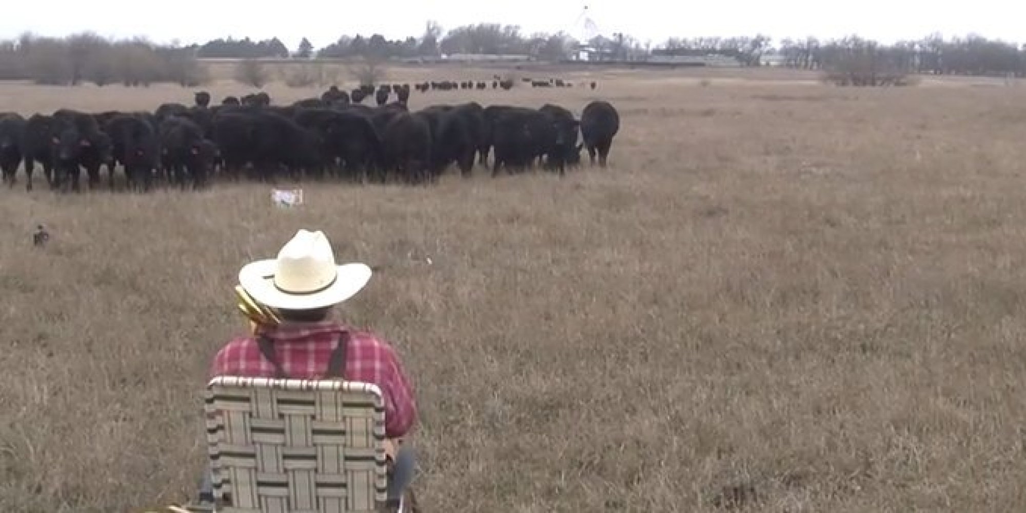 Farmer Plays 'Jingle Bells' On Trombone, Cows Come Dashing Through The