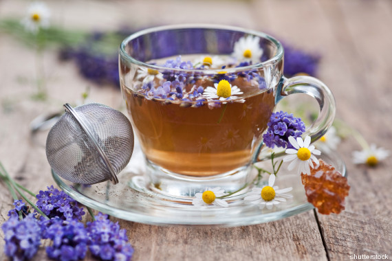 chamomile