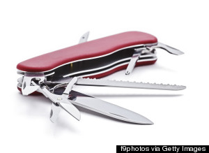 rocco animal trainer