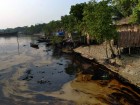 Oil Spill In Bangladesh Wildlife Sanctuary Threatens Rare Dolphins