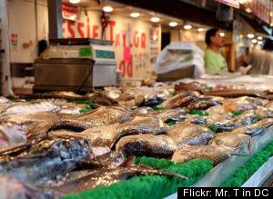 Seafood Mercury Fish Testing