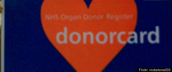 Organ Donor