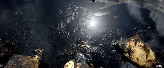 2008 Oil Spill