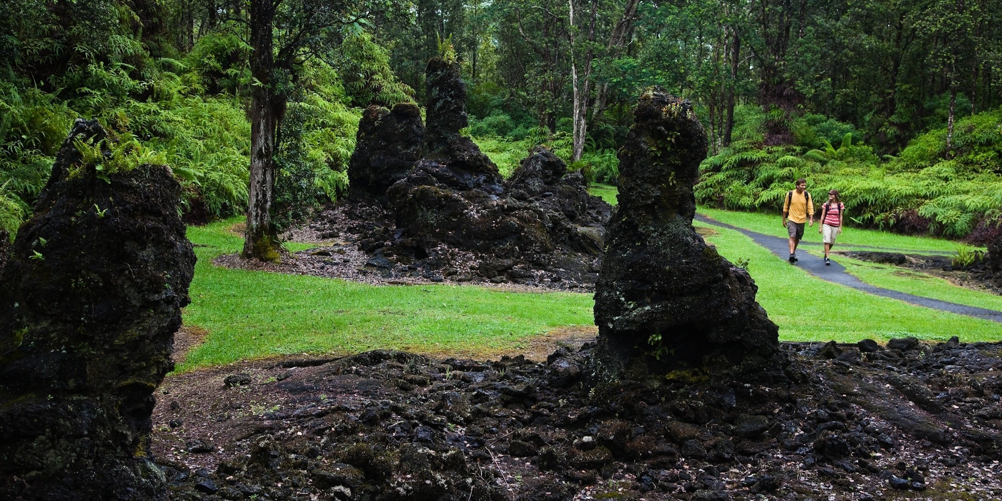 Hawaii's Lava Trees Are A Haunting Natural Wonder HuffPost
