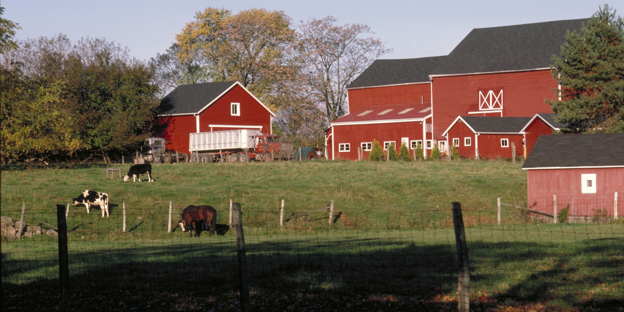 The 'Ethics' of Meat Eating HuffPost