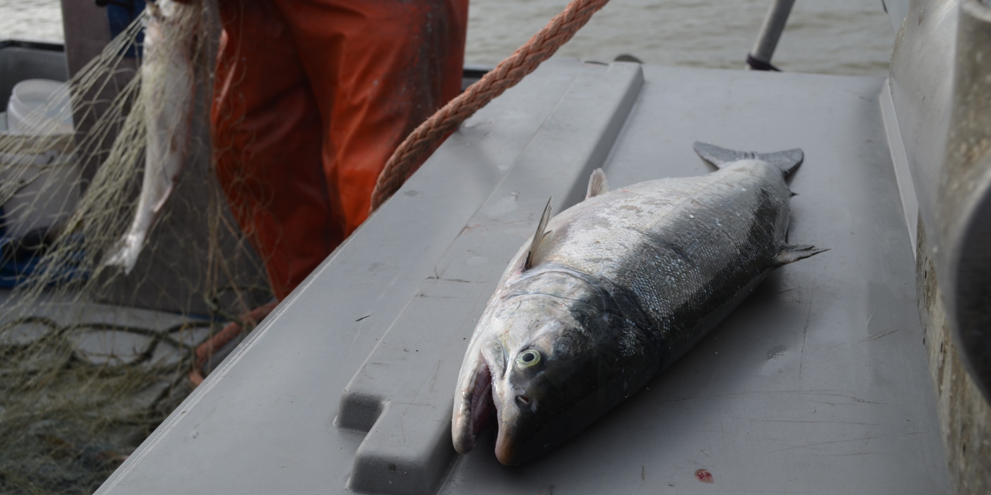 Obama Bars Oil And Gas Development In Alaska's Bristol Bay - Huffington Post