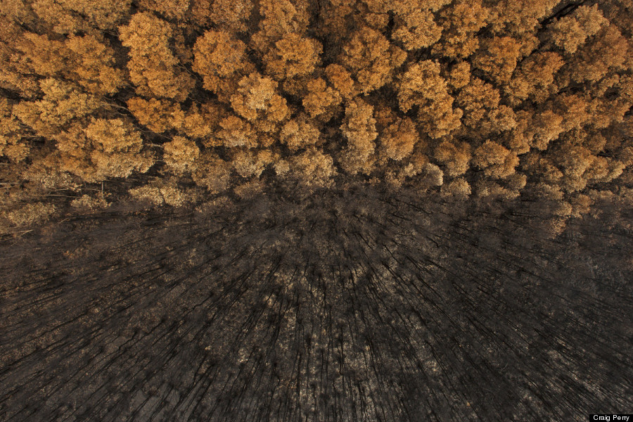 bushfire lennox head australia