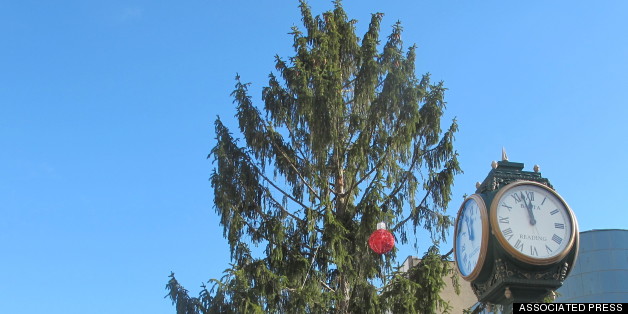 Why One City Chose To Put Up An 'Ugly' Christmas Tree