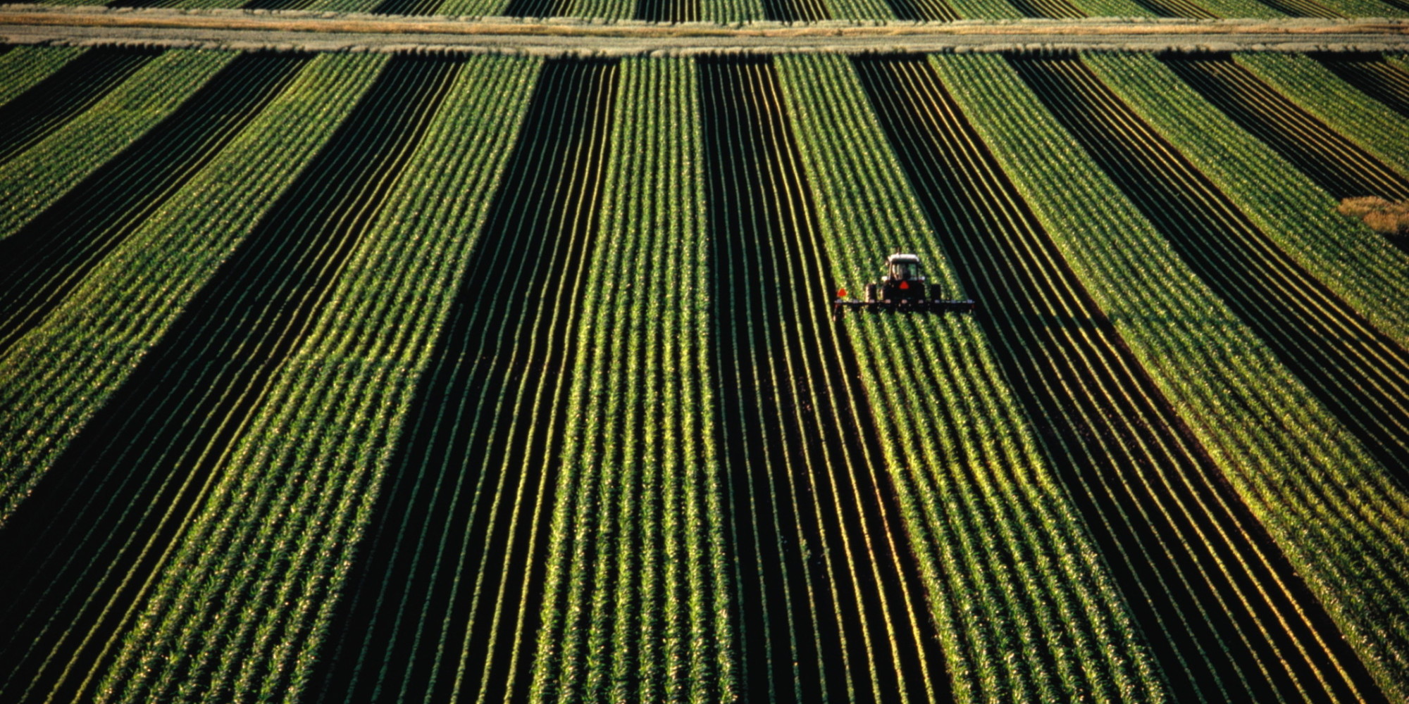 Climate Change Could Cause 18 Percent Drop In Food Production By 2050 ... - Huffington Post