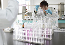 laboratoire