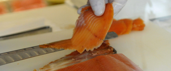 Salmon
