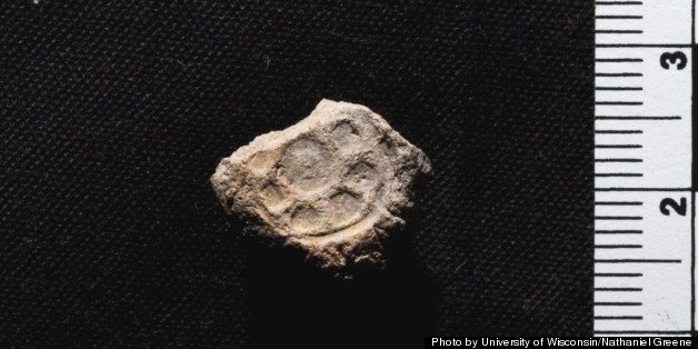Six Clay Seals Discovered In Israel Linked To Era Of Kings David And Solomon