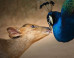15 More Gorgeous Entries In This Year's World Photography Awards