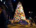 These Eco-Friendly Artists Are Dreaming Of A Plastic Free Christmas